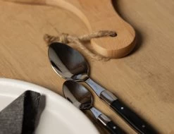 Jay Hill Bestekset Laguiole - Zwart - 16-delig / 4 Personen 12 Jay Hill Bestekset Laguiole - Zwart - 16-delig / 4 Personen -Keukengerei Korting Winkel AR7A5833 1 1