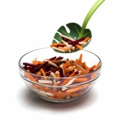 Ototo Opscheplepel Jungle Spoon -Keukengerei Korting Winkel Ototo Opscheplepel Jungle Spoon 3