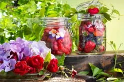 Bormioli Rocco Weckpot Fido 11 X 11 Cm / 1.5 Liter 9 Bormioli Rocco Weckpot Fido 11 X 11 Cm / 1.5 Liter -Keukengerei Korting Winkel e000316 3