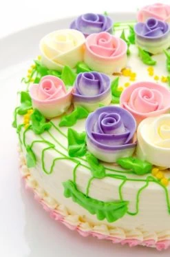 Patisse Springvorm Silver Top ø 20 Cm -Keukengerei Korting Winkel patisse vlaai taart sfeer 1